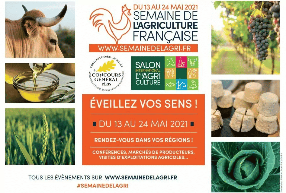 Du Salon International de l’Agriculture à la Semaine de l’Agriculture Française – Retour sur une expérimentation avec Valérie Le Roy
